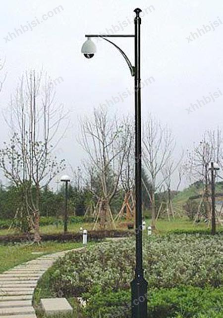 监控杆- (17)