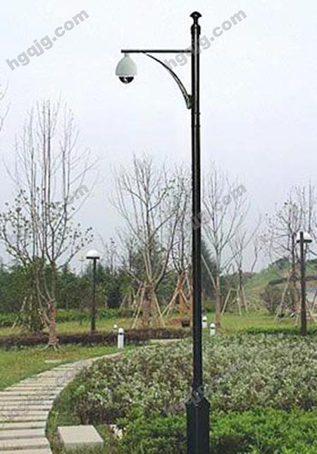 监控杆- (17)