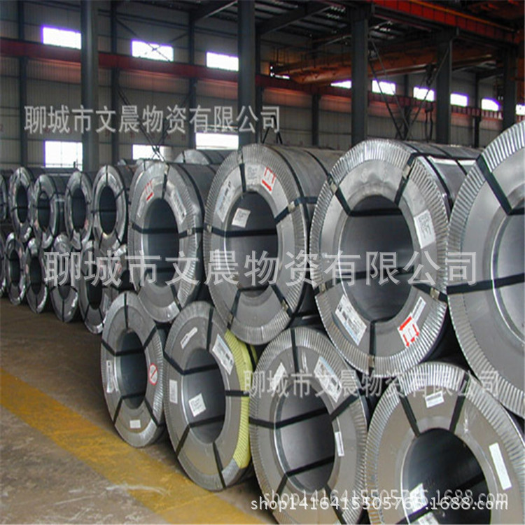 厂家直销SECC镀锌卷 白铁皮有花镀锌板 无花镀锌板 可开平加工