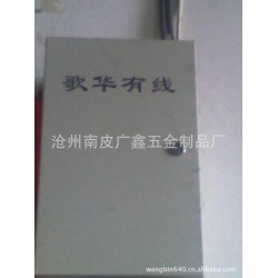 表箱/配电箱/机箱/铁壳子/铁盒子,南皮五金，五金配件，