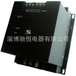 晶闸管投切电容器 动态补偿器 电容投切开关
