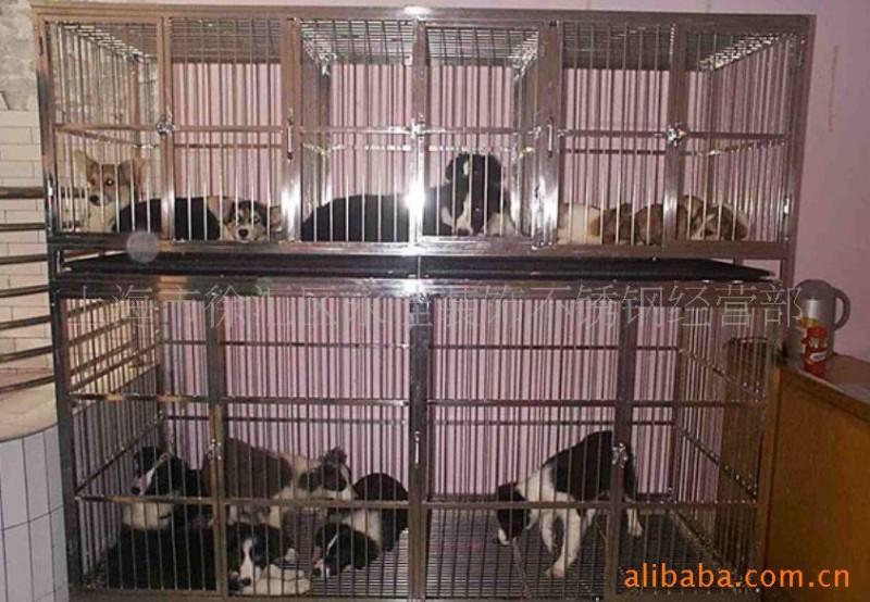 钣金加工 不锈钢焊接加工狗笼及各类金属制品焊接加工