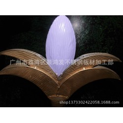专业制作酒店，家居异形铁花饰品，精品摆件，不锈钢花盆，花瓶