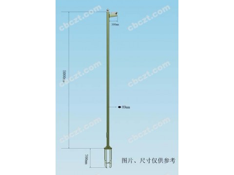 5米设备杆效果图