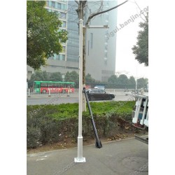 监控杆 小区球机枪机杆