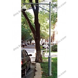 监控杆 小区球机枪机杆