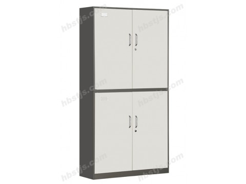 10 廊坊套色柜 仪器柜资料柜