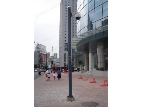 陕西小区监控杆 球机监控立杆