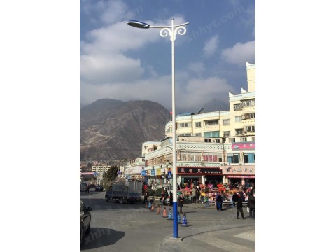 西安高杆灯 道路灯 户外灯路灯双杆