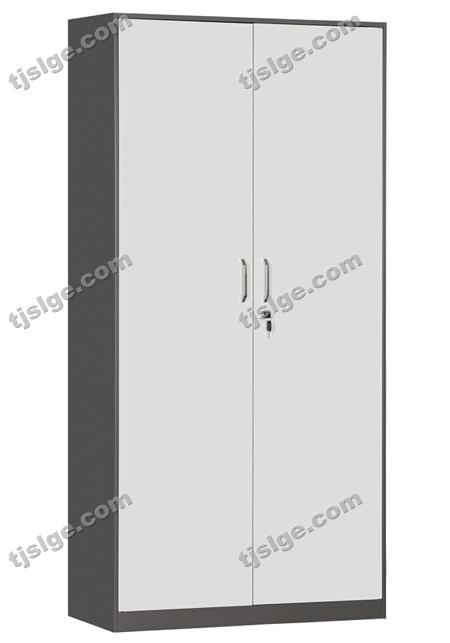 套色对开铁门文件柜 办公柜