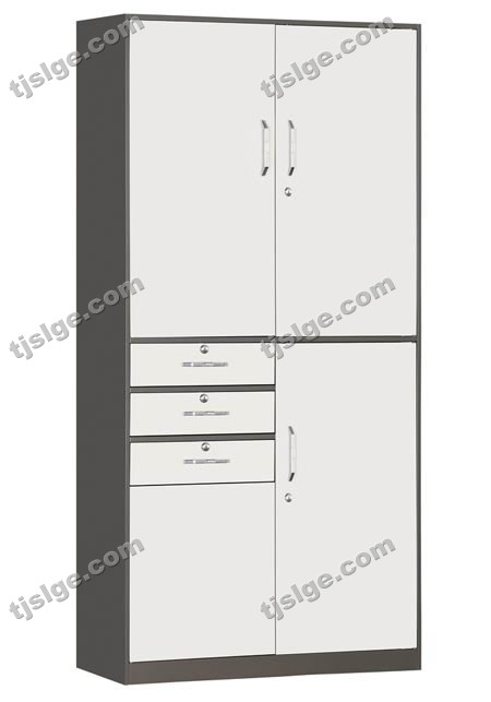 天津帅林格尔偏三屉文件柜 套色办公柜