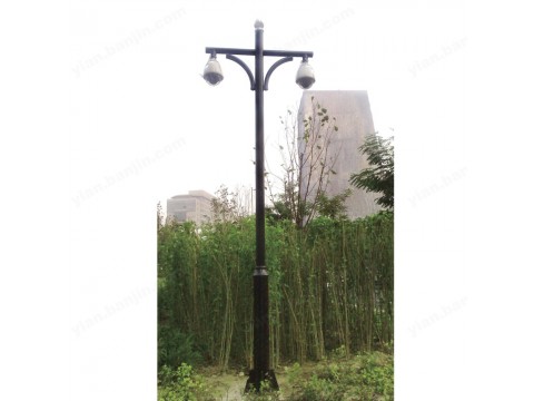 大厂亿安不锈钢监控杆 球机立杆13