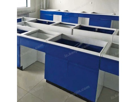河北乐众实验室操作台 实验桌09