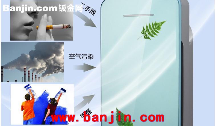 【专业供应】TGWH 负离子空气净化器