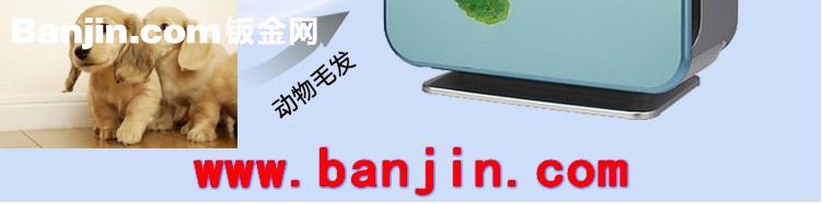 【专业供应】TGWH 负离子空气净化器