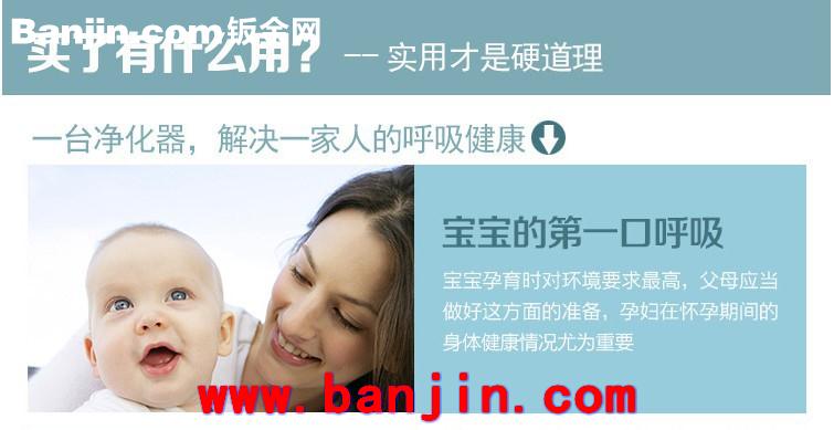 【专业供应】TGWH 负离子空气净化器