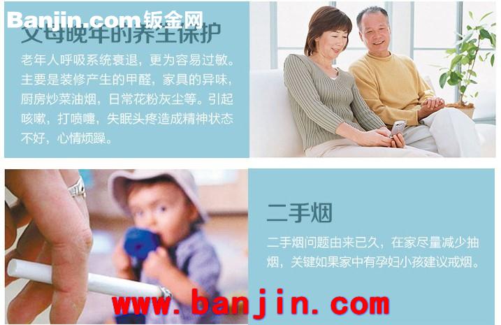 【专业供应】TGWH 负离子空气净化器