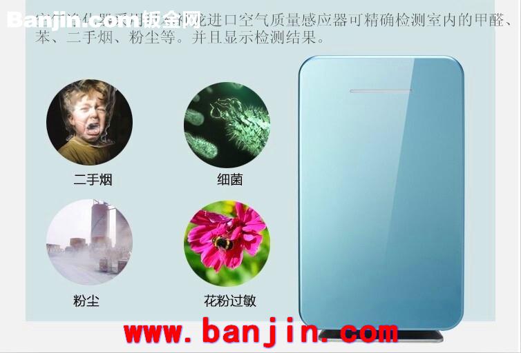 【专业供应】TGWH 负离子空气净化器