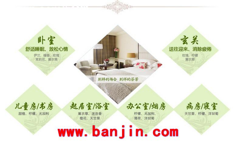 新品 香薰加湿器专用水溶性精油 3*15ml体验装 净化空气 调节情绪