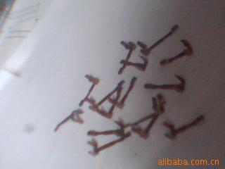 耳塞盖加工