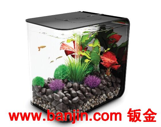有机玻璃亚克力鱼缸