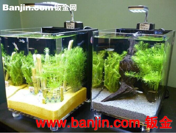 有机玻璃亚克力鱼缸